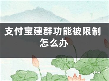 支付宝建群功能被限制怎么办