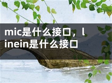 mic是什么接口，linein是什么接口