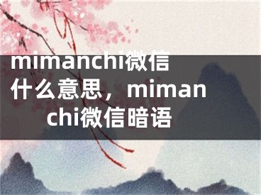 mimanchi微信什么意思，mimanchi微信暗语