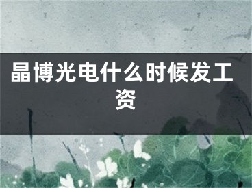 晶博光电什么时候发工资