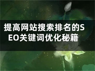 提高网站搜索排名的SEO关键词优化秘籍 