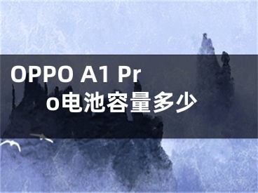 OPPO A1 Pro电池容量多少