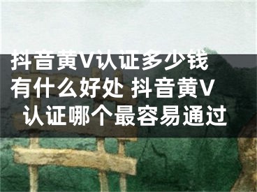 抖音黄V认证多少钱 有什么好处 抖音黄V认证哪个最容易通过