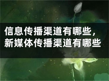 信息传播渠道有哪些，新媒体传播渠道有哪些