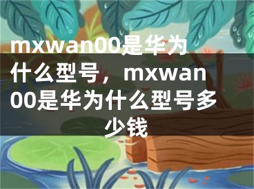 mxwan00是华为什么型号，mxwan00是华为什么型号多少钱