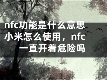 nfc功能是什么意思小米怎么使用，nfc一直开着危险吗