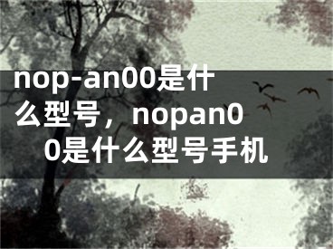 nop-an00是什么型号，nopan00是什么型号手机