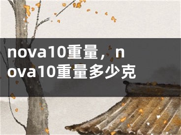 nova10重量，nova10重量多少克