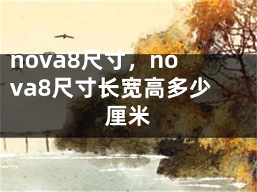 nova8尺寸，nova8尺寸长宽高多少厘米