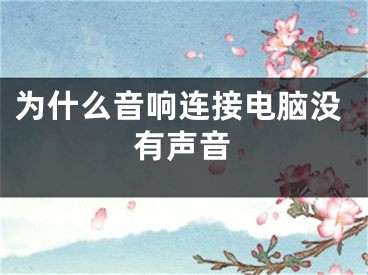 为什么音响连接电脑没有声音