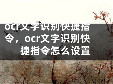 ocr文字识别快捷指令，ocr文字识别快捷指令怎么设置