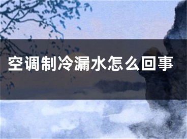 空调制冷漏水怎么回事