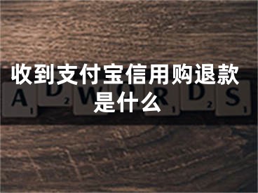 收到支付宝信用购退款是什么