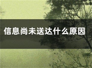 信息尚未送达什么原因