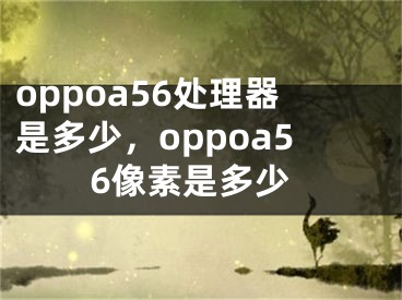 oppoa56处理器是多少，oppoa56像素是多少