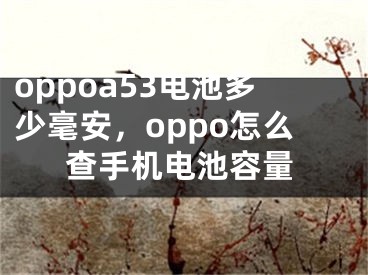 oppoa53电池多少毫安，oppo怎么查手机电池容量