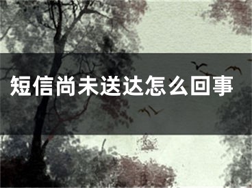 短信尚未送达怎么回事