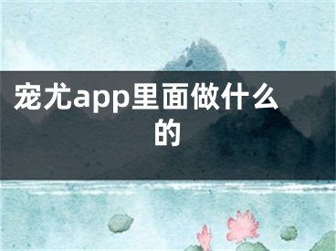 宠尤app里面做什么的