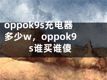 oppok9s充电器多少w，oppok9s谁买谁傻