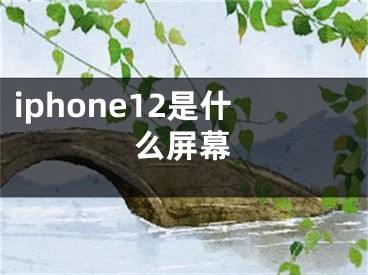 iphone12是什么屏幕