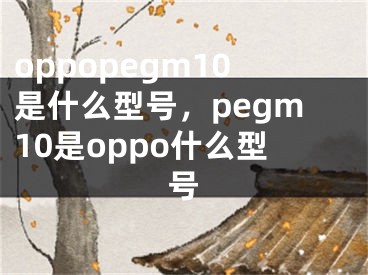 oppopegm10是什么型号，pegm10是oppo什么型号