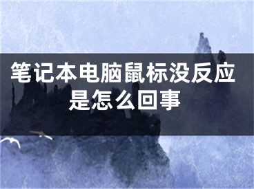 笔记本电脑鼠标没反应是怎么回事