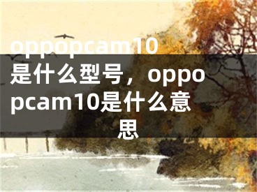 oppopcam10是什么型号，oppopcam10是什么意思
