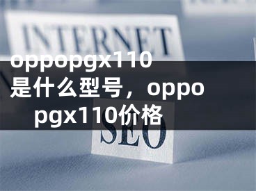 oppopgx110是什么型号，oppopgx110价格