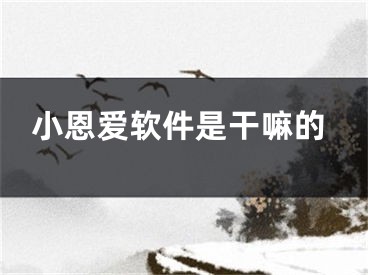 小恩爱软件是干嘛的