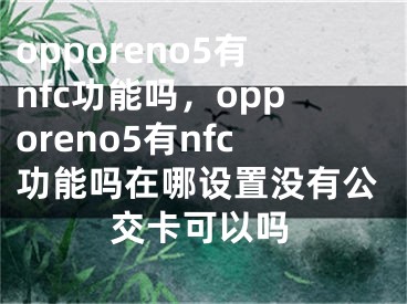 opporeno5有nfc功能吗，opporeno5有nfc功能吗在哪设置没有公交卡可以吗