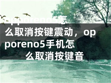 opporeno5怎么取消按键震动，opporeno5手机怎么取消按键音