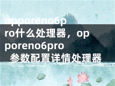 opporeno6pro什么处理器，opporeno6pro参数配置详情处理器