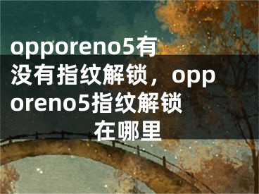opporeno5有没有指纹解锁，opporeno5指纹解锁在哪里