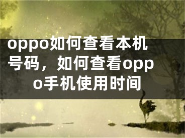 oppo如何查看本机号码，如何查看oppo手机使用时间