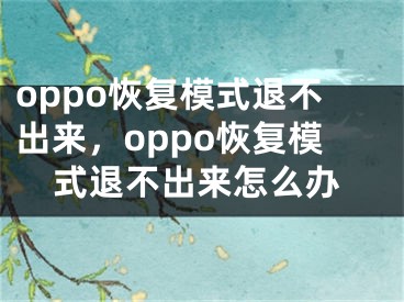 oppo恢复模式退不出来，oppo恢复模式退不出来怎么办