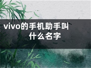 vivo的手机助手叫什么名字