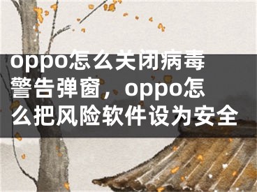 oppo怎么关闭病毒警告弹窗，oppo怎么把风险软件设为安全