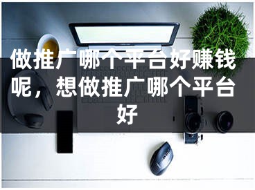 做推广哪个平台好赚钱呢，想做推广哪个平台好