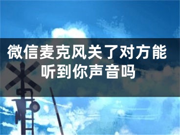 微信麦克风关了对方能听到你声音吗