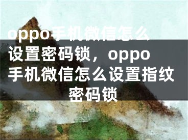 oppo手机微信怎么设置密码锁，oppo手机微信怎么设置指纹密码锁