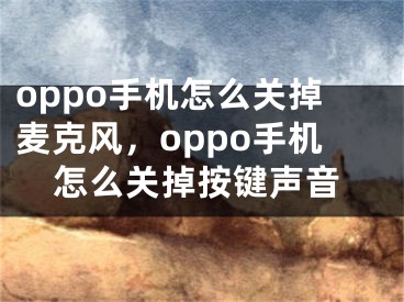 oppo手机怎么关掉麦克风，oppo手机怎么关掉按键声音