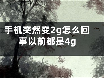 手机突然变2g怎么回事以前都是4g