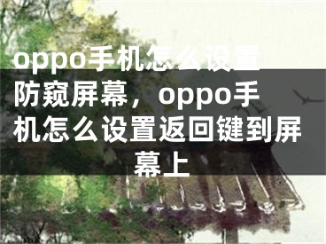 oppo手机怎么设置防窥屏幕，oppo手机怎么设置返回键到屏幕上