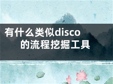 有什么类似disco的流程挖掘工具