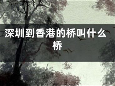 深圳到香港的桥叫什么桥