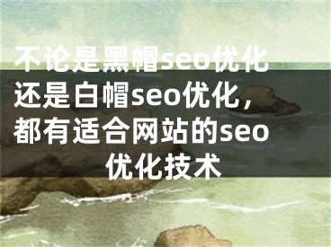 不论是黑帽seo优化还是白帽seo优化，都有适合网站的seo优化技术