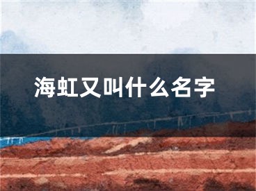 海虹又叫什么名字