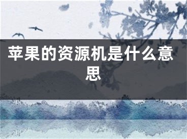 苹果的资源机是什么意思