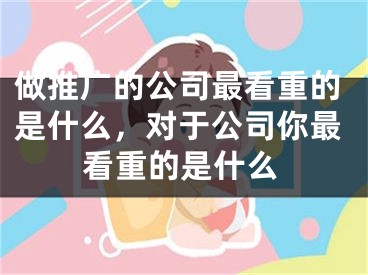 做推广的公司最看重的是什么，对于公司你最看重的是什么