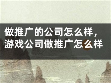 做推广的公司怎么样，游戏公司做推广怎么样